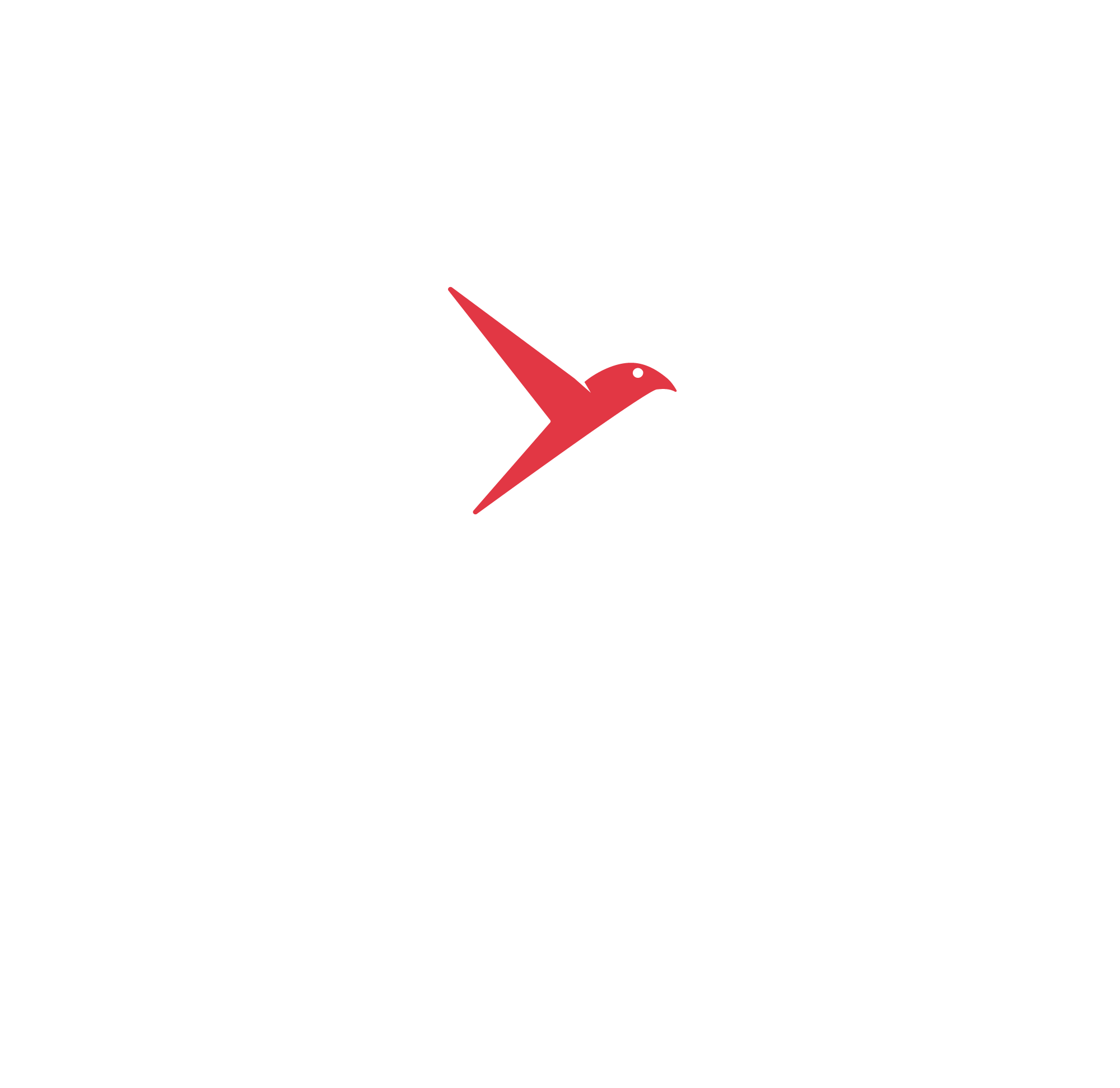 Bulbul Drone Delivery