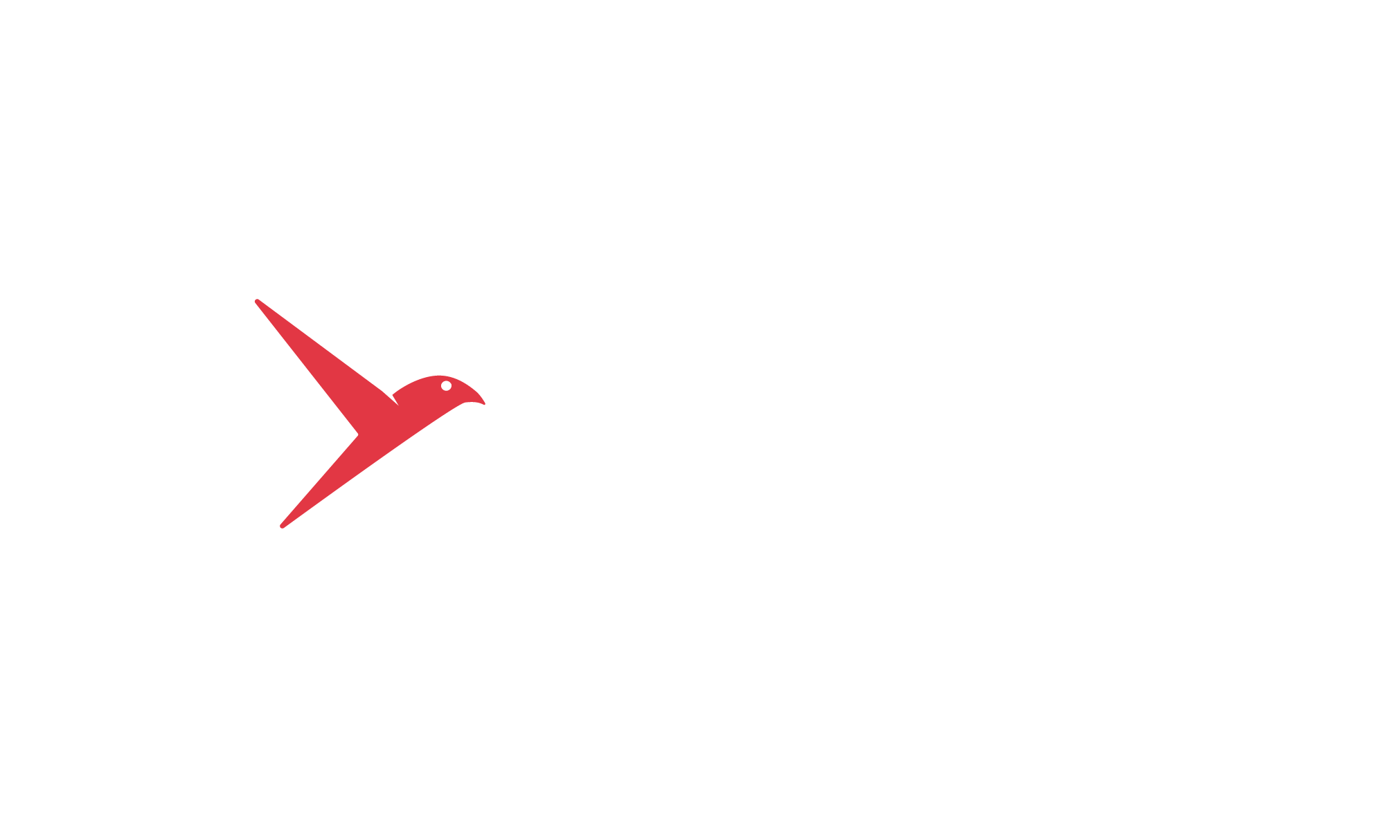 Bulbul Drone Delivery